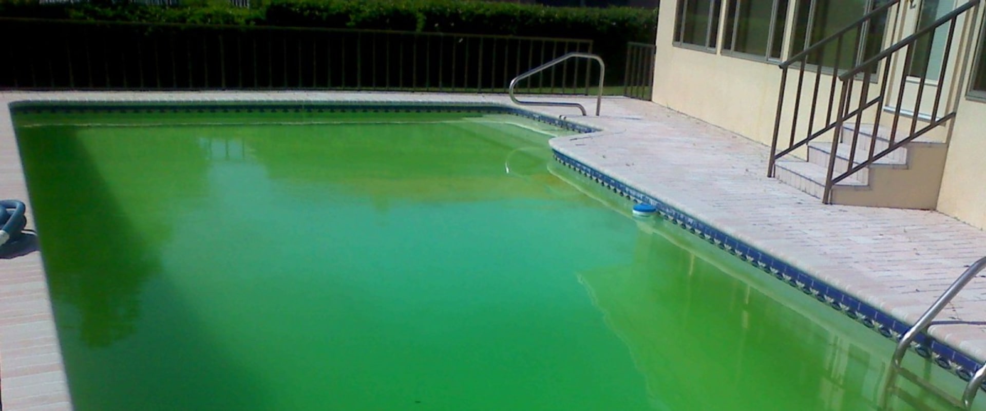 Troubleshooting Algae Issues in Swimming Pools