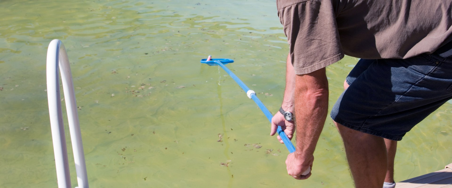 Using a Stain Remover to Remove Stains from the Pool