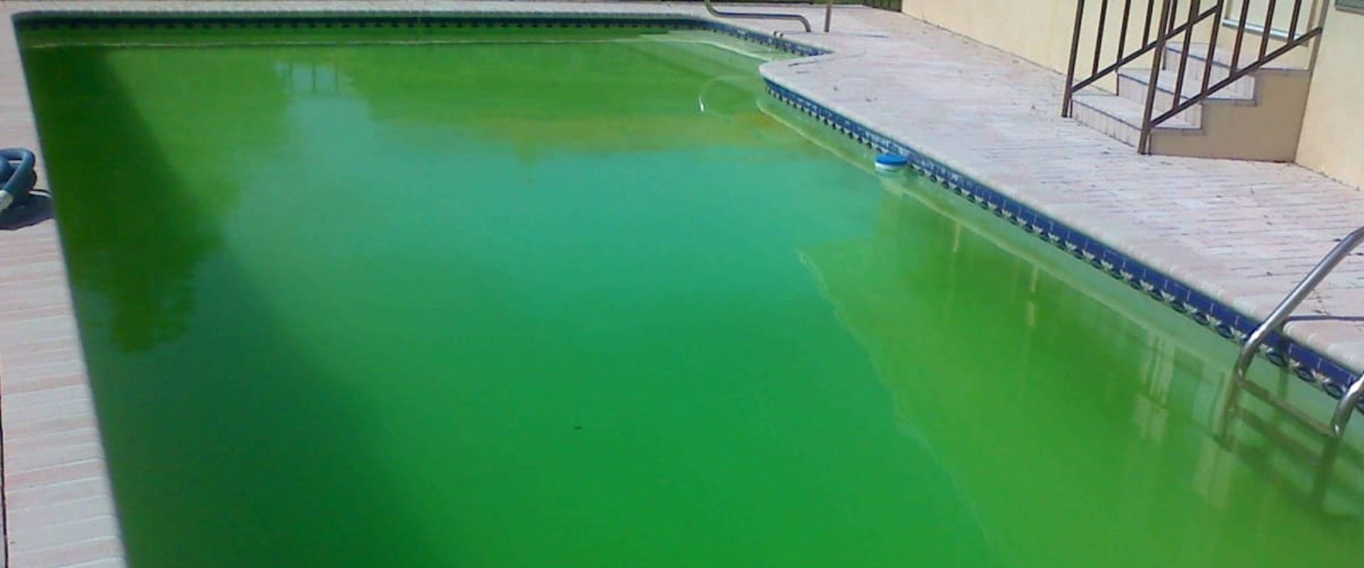 Treating Algae in Swimming Pools