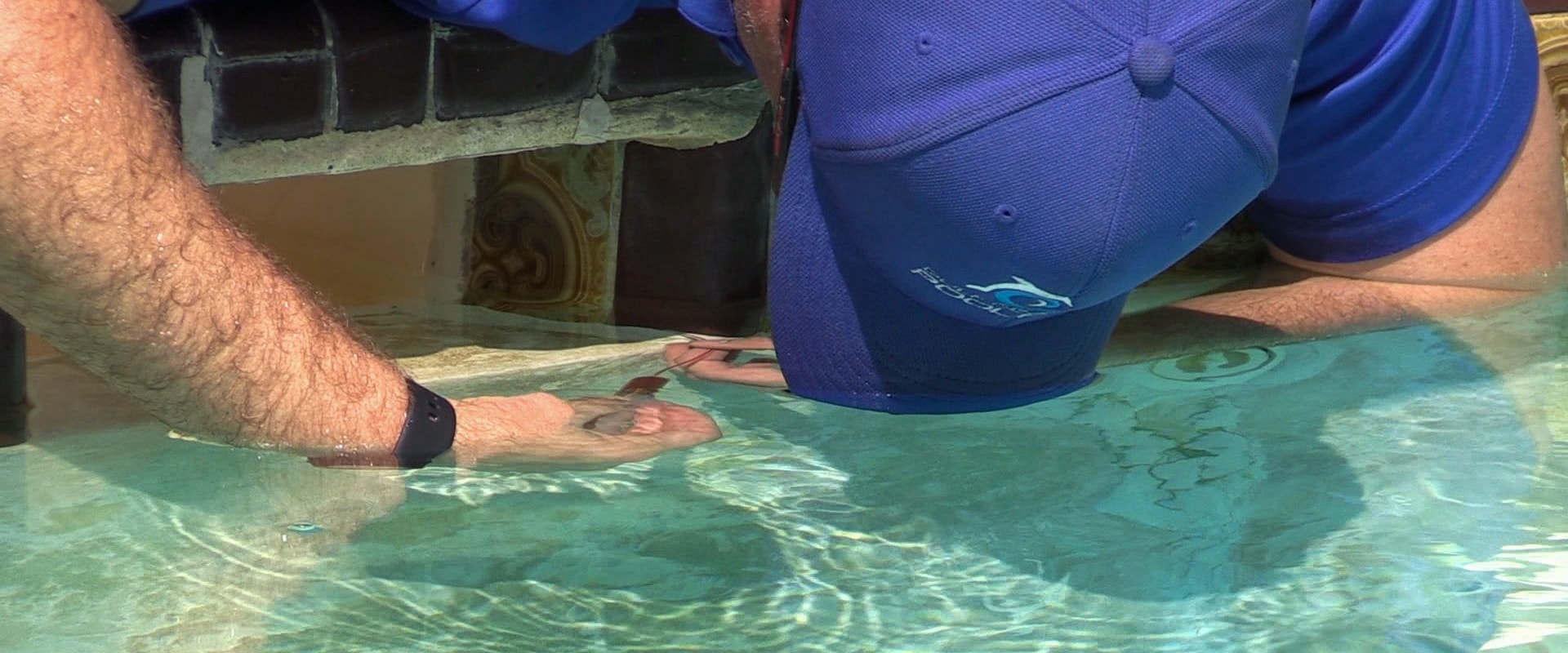 Checking for Leaks Before Opening a Swimming Pool