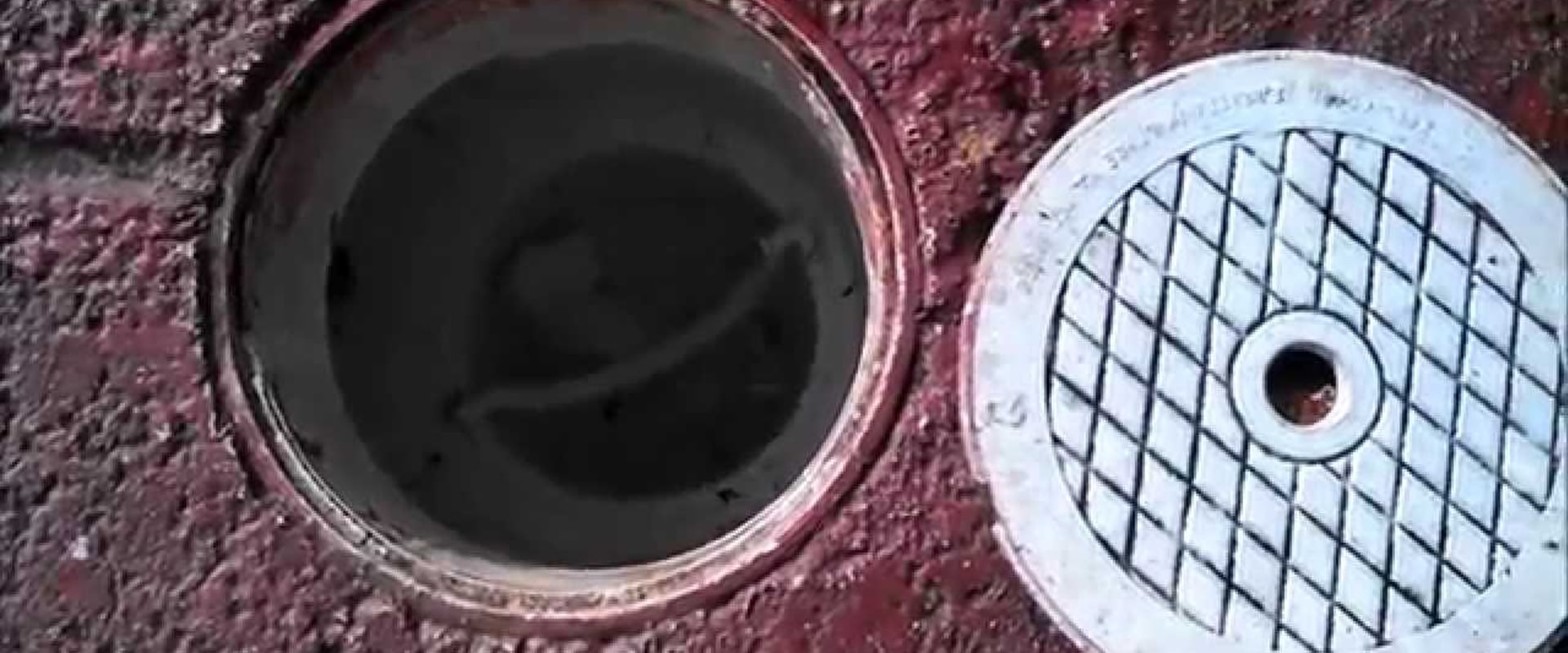 Cleaning and Emptying Your Pool Skimmer Basket