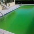 Troubleshooting Algae Issues in Swimming Pools