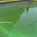 Vacuuming Debris from the Bottom of the Pool Before Opening