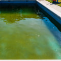 Identifying Different Types of Algae in Swimming Pools