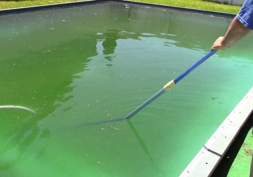 Vacuuming Debris from the Bottom of the Pool Before Opening