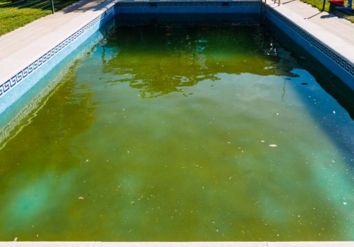 Identifying Different Types of Algae in Swimming Pools